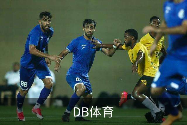 DB体育公司简介